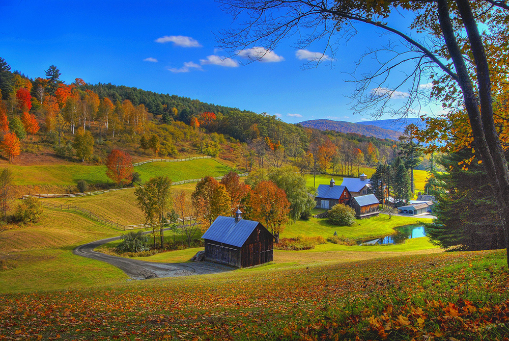A Taste of Vermont