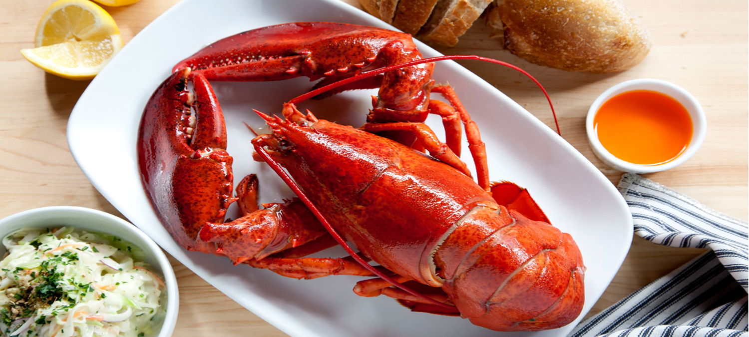 lobster feast
